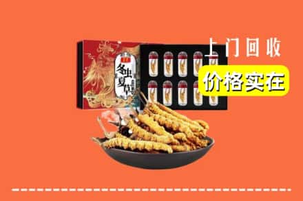 包头市土默特右区回收冬虫夏草