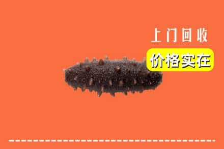 包头市土默特右区回收海参