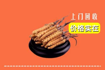 包头市土默特右区回收冬虫夏草